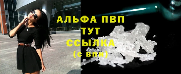 гидра Вяземский