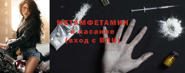 гидра Вяземский
