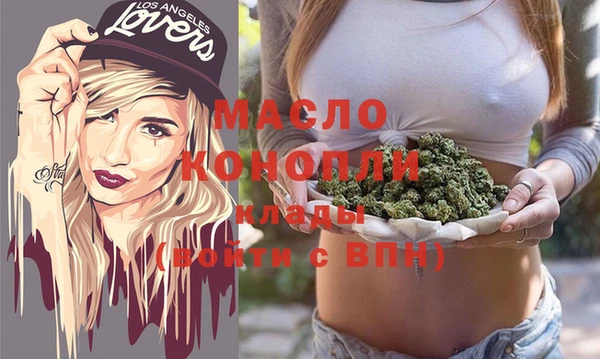 гидра Вяземский