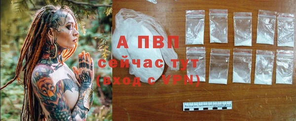 гидра Вяземский