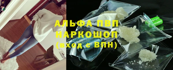 гидра Вяземский