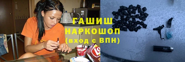 гидра Вяземский