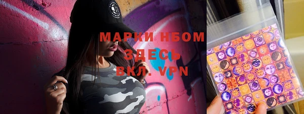 гидра Вяземский